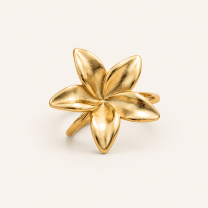 BAGUE LANI MERAM PARIS