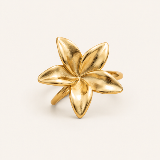 BAGUE LANI MERAM PARIS