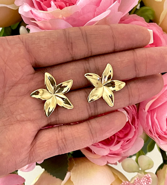 BOUCLES D'OREILLES FIORE