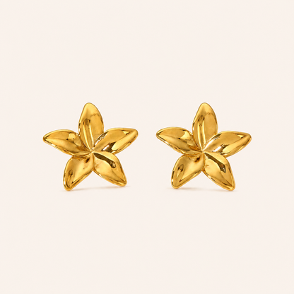 BOUCLES D'OREILLES FIORE MERAM PARIS