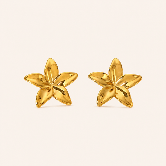 BOUCLES D'OREILLES FIORE MERAM PARIS